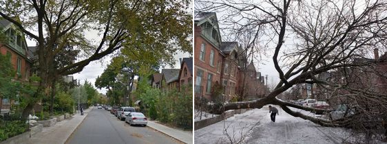 Same Scene, From The Back. Before and After Photos of the Toronto Ice Storm