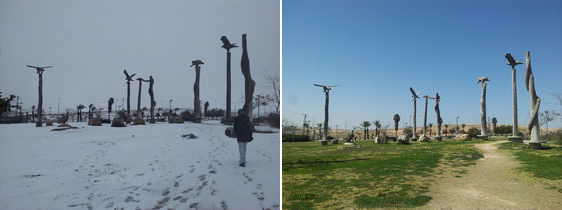 Arad 2015 snowstorm - park at city entrance
